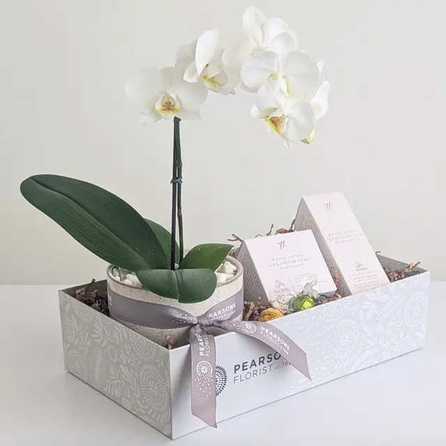 Relax Orchid Hamper