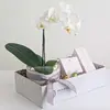 Relax Orchid Hamper
