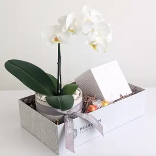Serenity Orchid Hamper