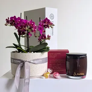 Honey Blossom Orchid Hamper