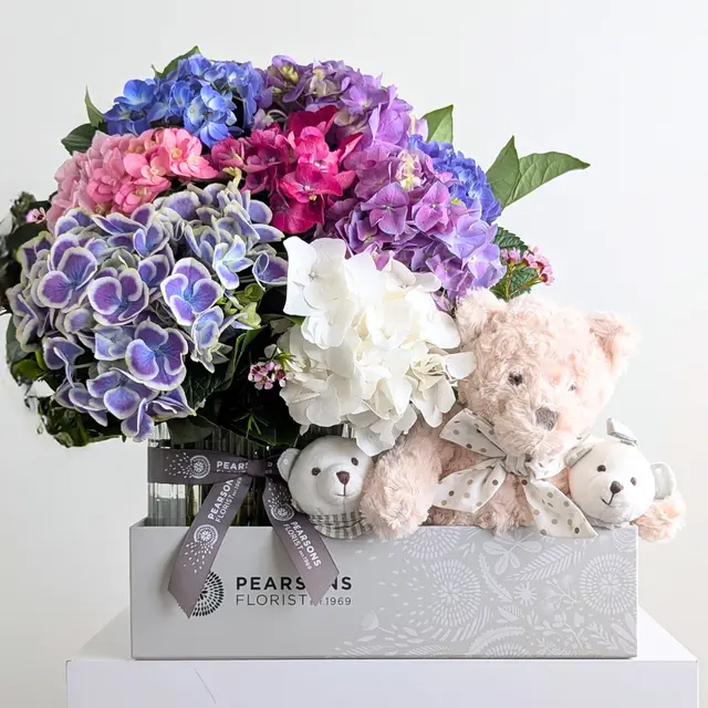 Bambino Bliss Bundle