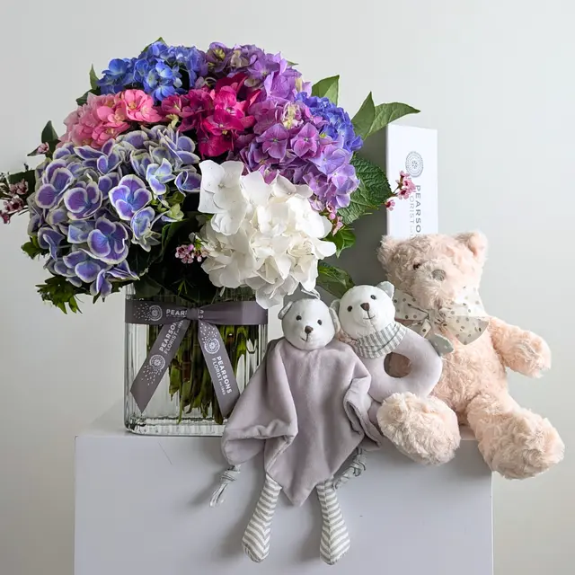 Bambino Bliss Bundle