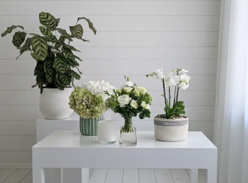 Colour of the Year 2026: White Flowers for Fresh Summer Vibes