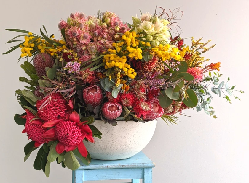 Native & Wild Flowers