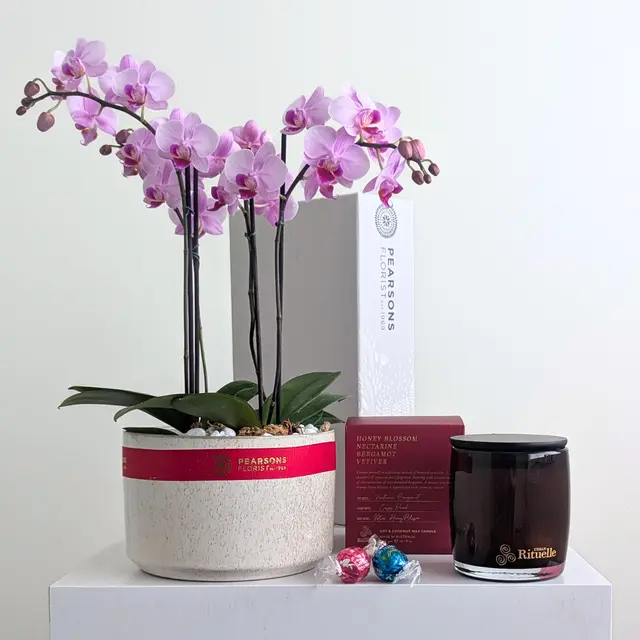 Honey Blossom Orchid Hamper