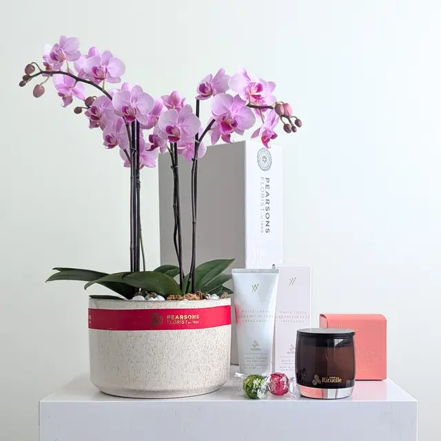 Love & Pamper Orchid Hamper