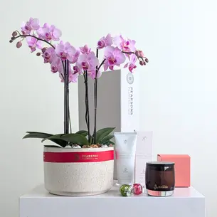 Love & Pamper Orchid Hamper