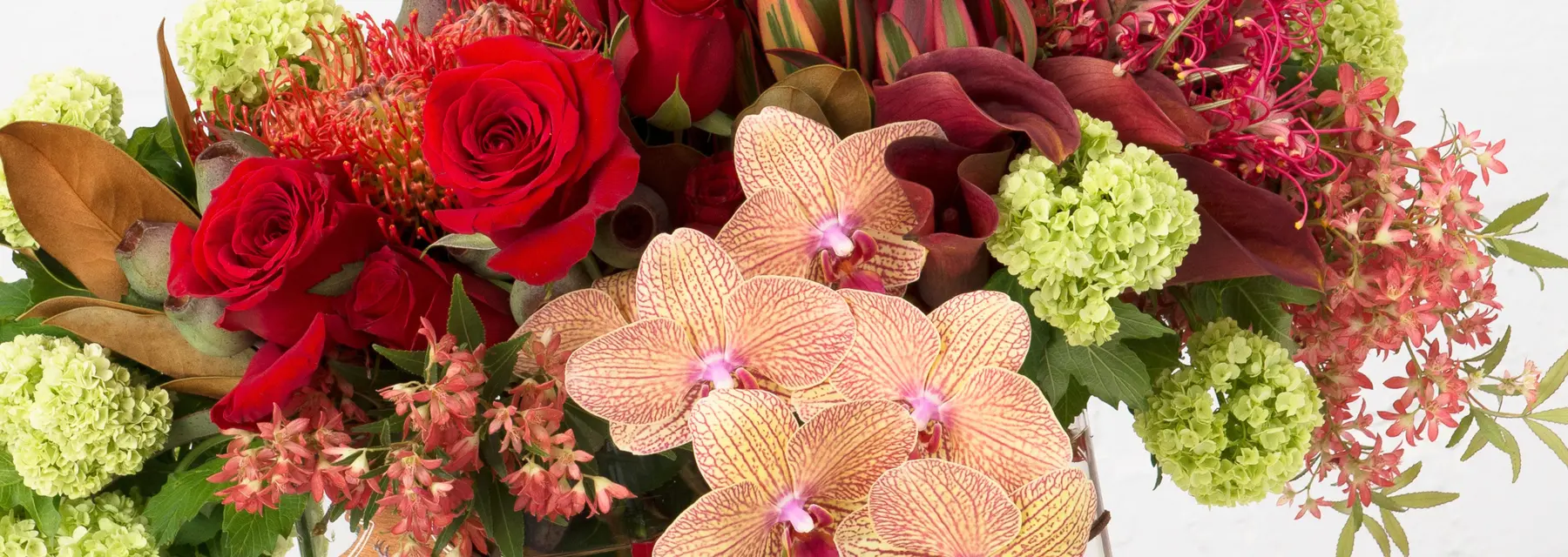 Flowers, Plants & Gift Hampers Share Joy & Love!
