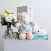 Baby Soft Neutrals Gift Hamper