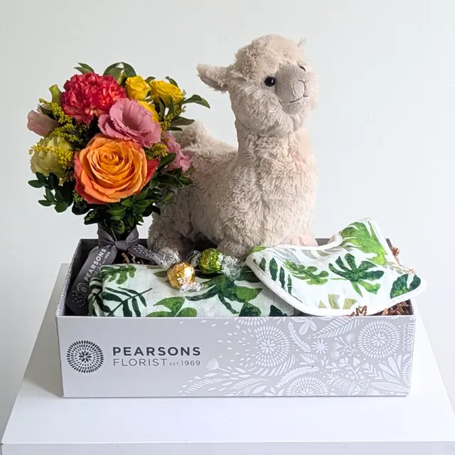 Happy Llama Gift Hamper
