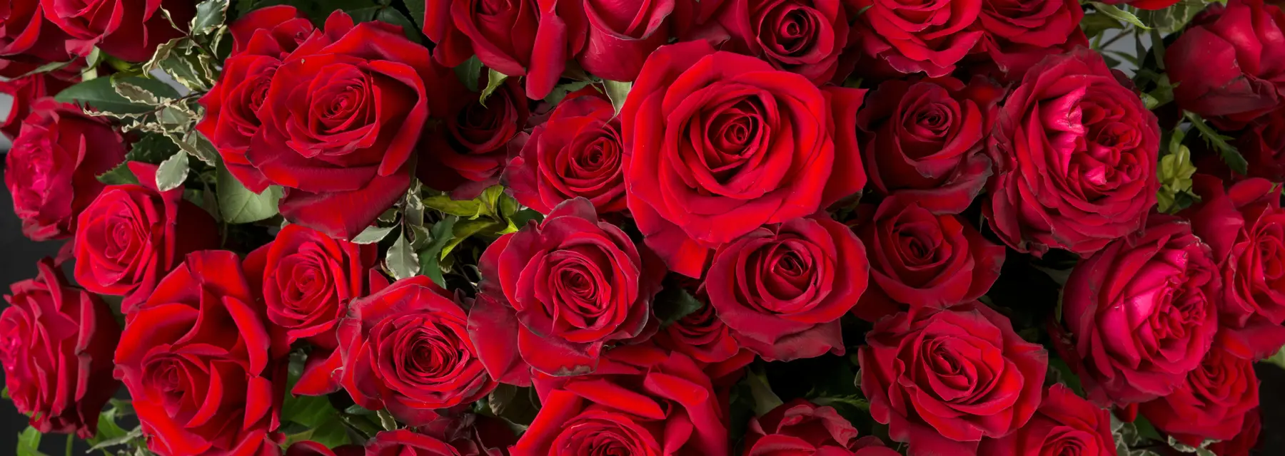 Flowers, Plants and Gift Hampers Share the Love!