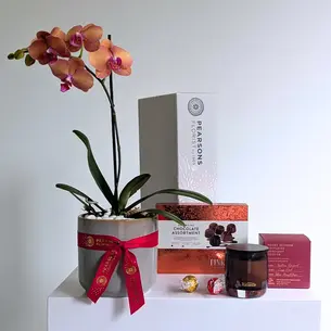 Golden Orchid Hamper