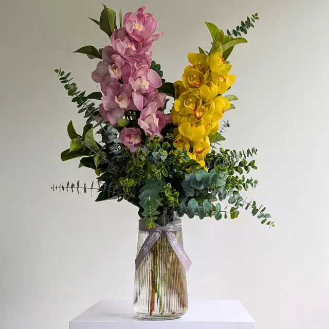 Cymbidium Orchid Vase