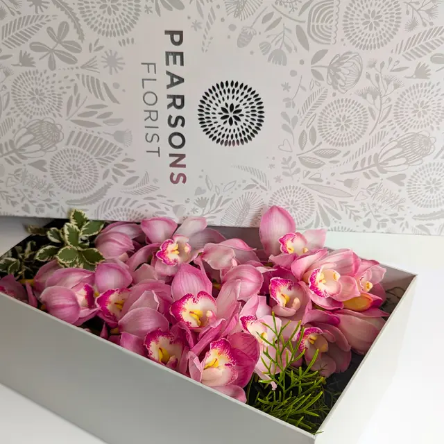 Classic Cymbidium Orchid Box