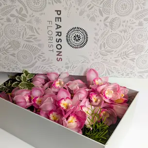 Classic Cymbidium Orchid Box