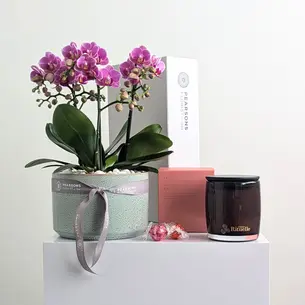 Garden of Love Hamper