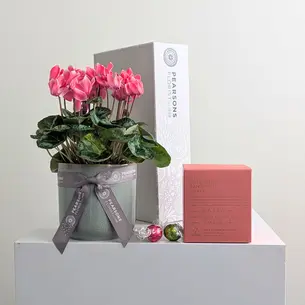 Pearsons Plant & Candle Hamper