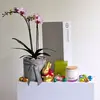 Easter Orchid & Candle Hamper