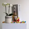 Easter Orchid & Sparkle Hamper