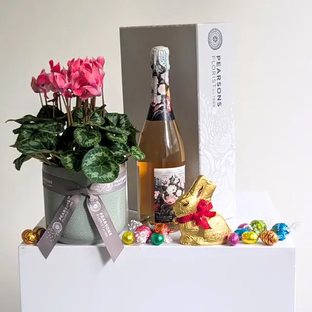 Easter Plant & Sparkle Hamper