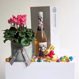Easter Plant & Sparkle Hamper
