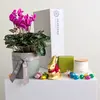 Easter Plant & Candle Hamper