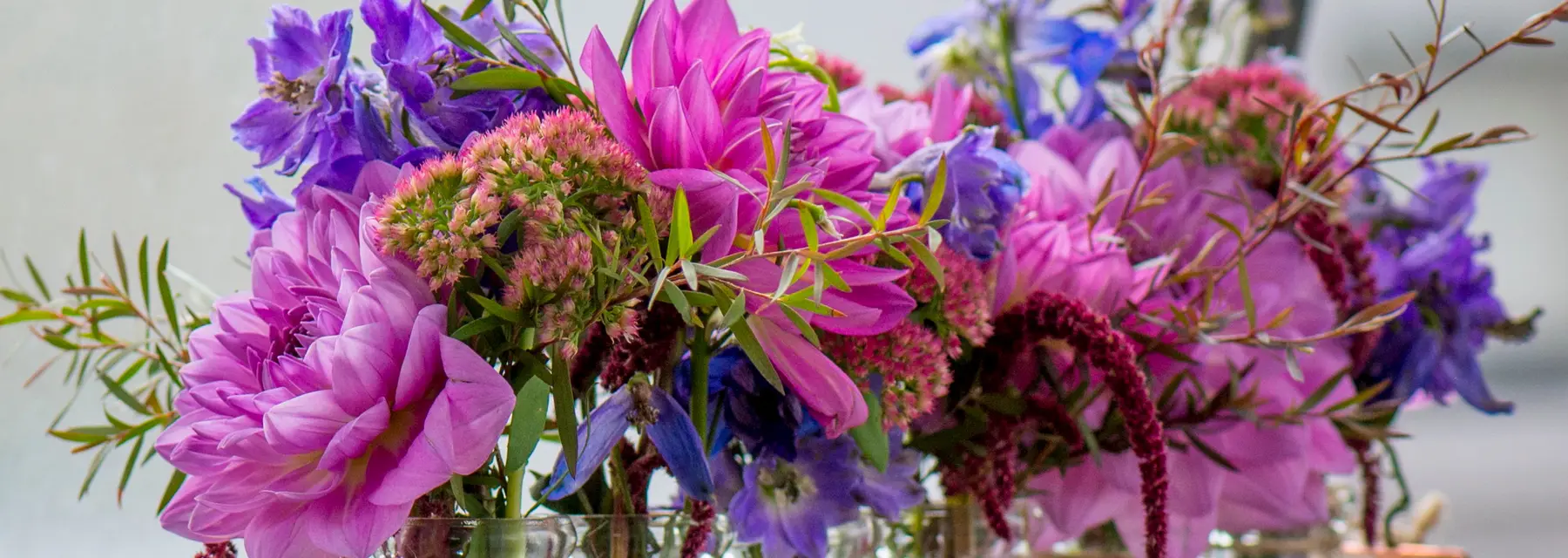 Flowers, Plants & Gift Hampers Share the Love!