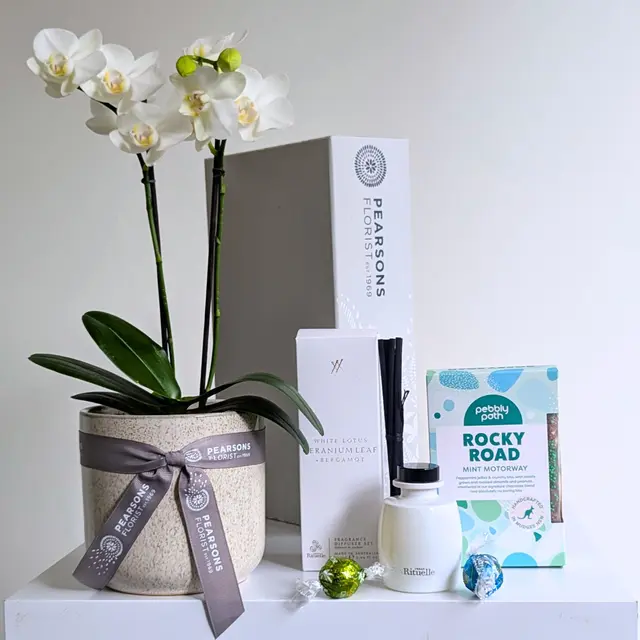 Orchid & Fragrance Diffuser White Hamper