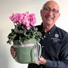 Large Cyclamen Plant