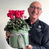 Large Cyclamen Plant