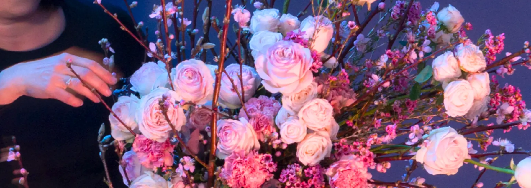 Sydney, Melbourne & Central Coast Share the Love!