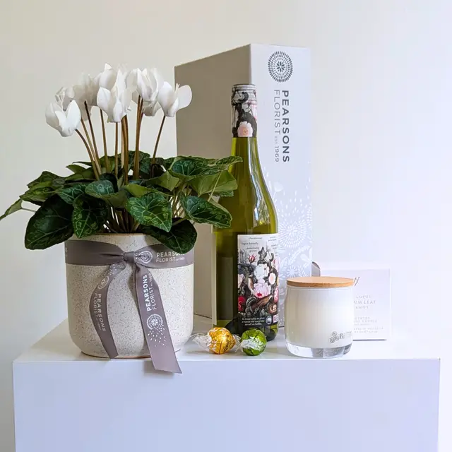 Pretty Plant + White Wine