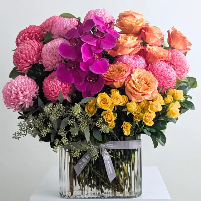 Ultimate Splash of Colour