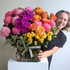 Ultimate Splash of Colour