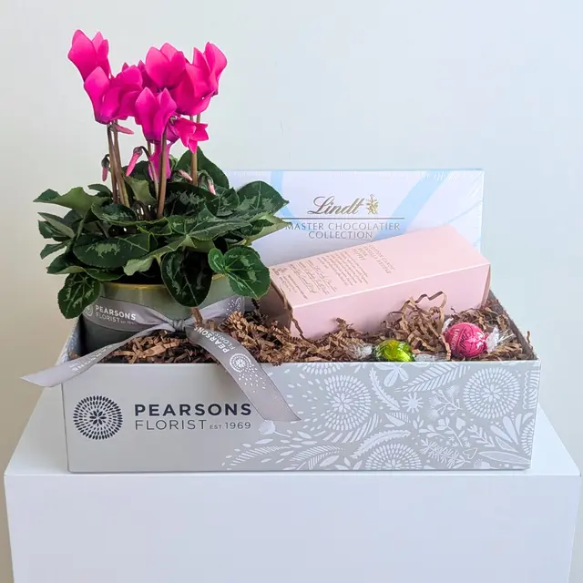 Pretty Plant & Sweet Fragrance Hamper