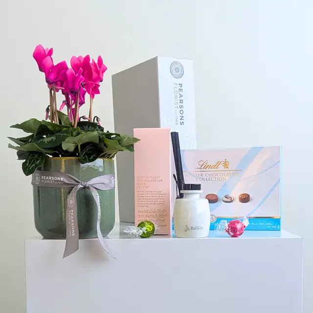 Pretty Plant & Sweet Fragrance Hamper