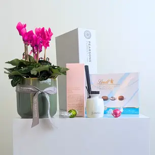Pretty Plant & Sweet Fragrance Hamper
