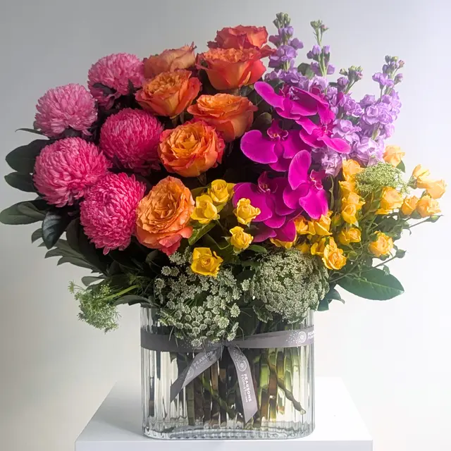 Ultimate Splash of Colour