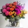 Ultimate Splash of Colour
