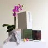 Mum's Orchid & Candle Hamper