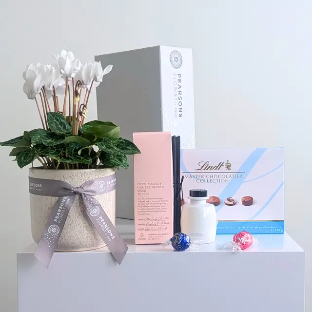 Pretty Plant & Sweet Fragrance Hamper