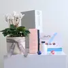 Pretty Plant & Sweet Fragrance Hamper