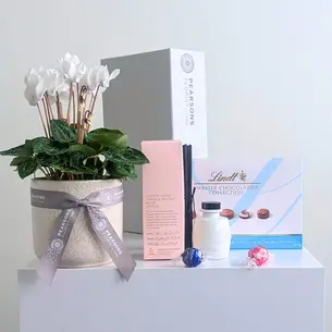 Pretty Plant & Sweet Fragrance Hamper