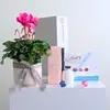Pretty Plant & Sweet Fragrance Hamper