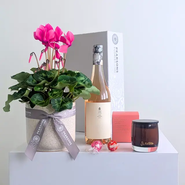 Pretty Plant + Rose Wine
