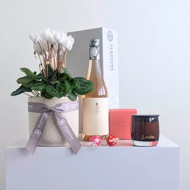 Pretty Plant + Rose Wine