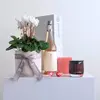Pretty Plant + Rose Wine