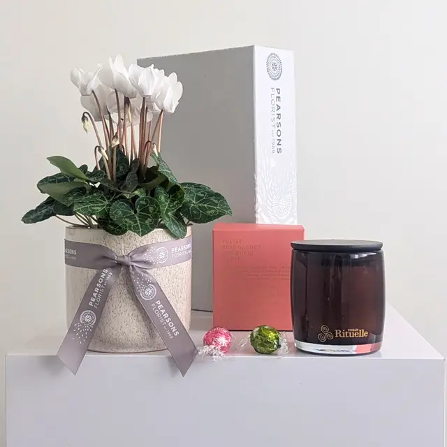 Pearsons Plant & Candle Hamper