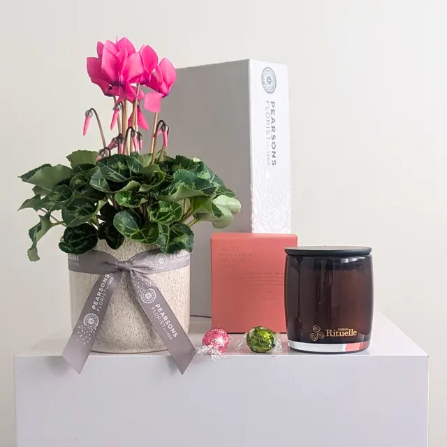 Pearsons Plant & Candle Hamper