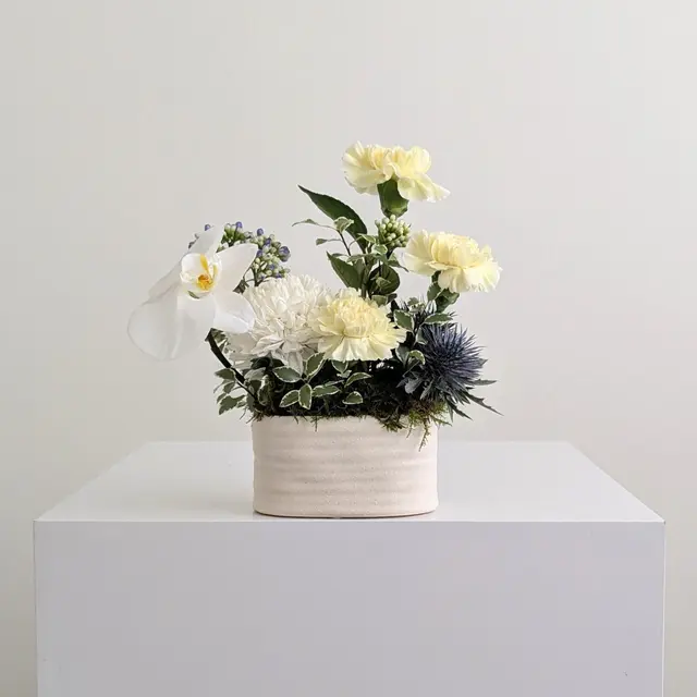 Eclectic Mini Design
